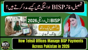 How Tehsil Offices Manage BISP Payments Across Pakistan in 2026