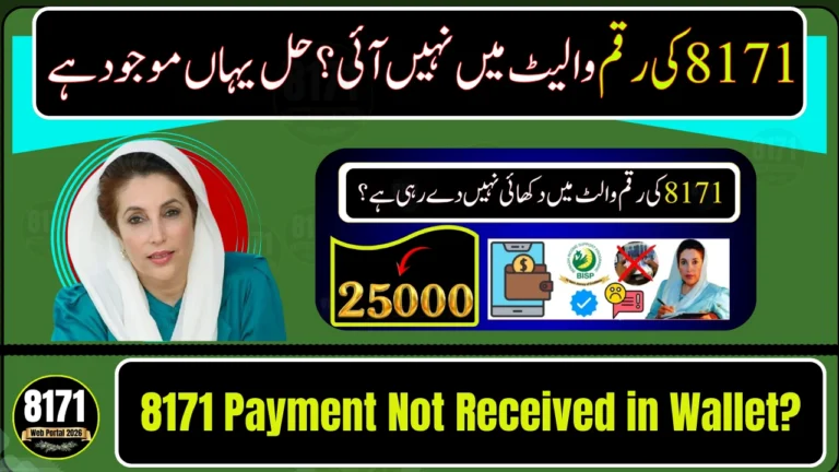 8171 Payment Not Received in Wallet? Here’s the Fix for 2026