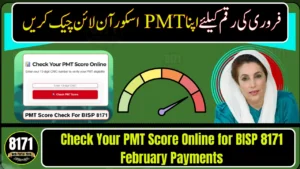 Check Your PMT Score Online for BISP 8171 February Payments