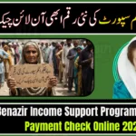 Benazir Income Support Programme New Payment Check Online 2026