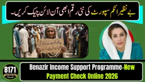 Benazir Income Support Programme New Payment Check Online 2026