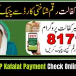 BISP Kafalat Payment Check Online by CNIC – Easy Method 2026