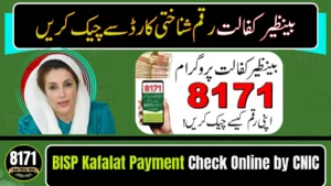 BISP Kafalat Payment Check Online by CNIC – Easy Method 2026